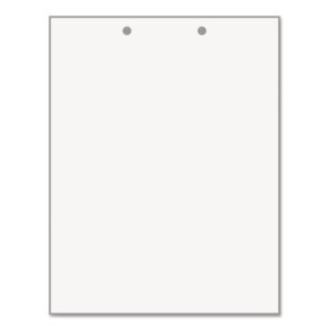 Art punch Sheets, 2 Hole Punched Paper, For Project/ Assignment / Practical 10 Sheets