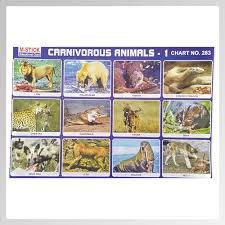 Carnivorous Animal Chart 1 Sheet